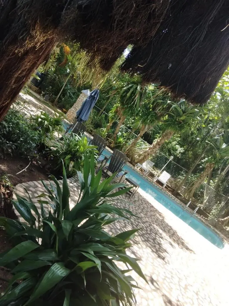 Ella Villa Apartments kontakter