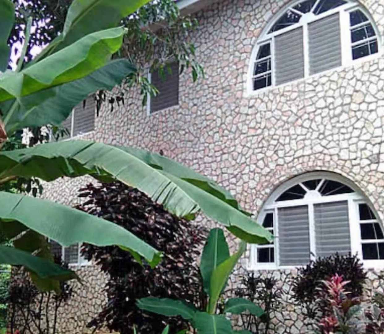 Ella Villa Apartments Negril